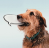 ASPCA